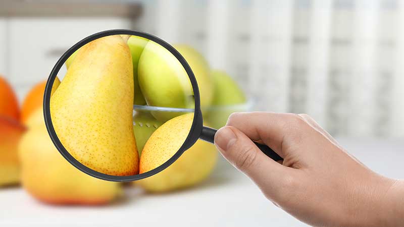 pessoa a analisar peras com uma lupa